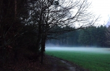 bosco2
