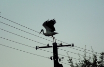 DSCF5245